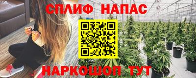 PSILOCYBIN Анжеро-Судженск