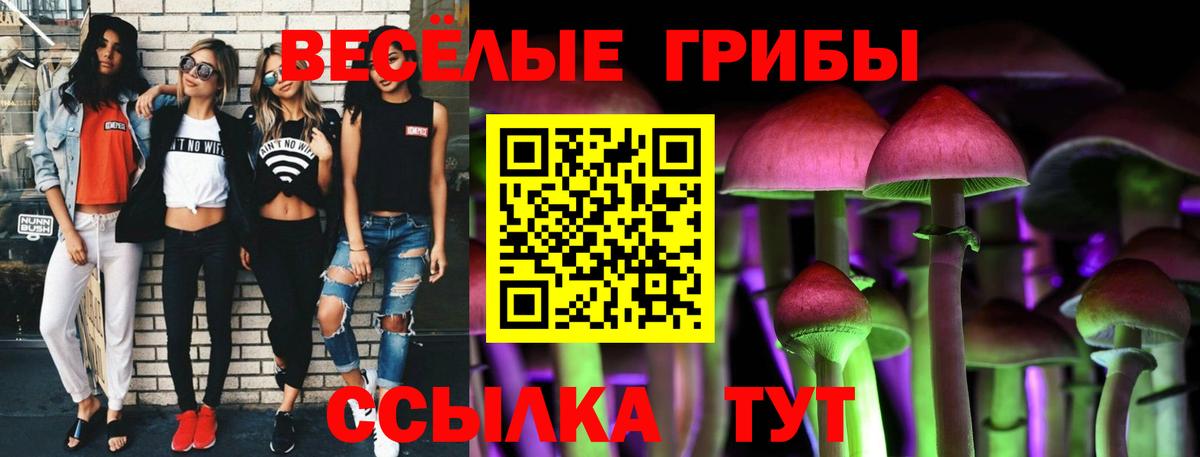 Галлюциногенные грибы Cubensis Верхняя Пышма