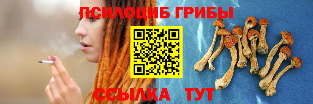 Верхняя Пышма  Галлюциногенные грибы мухоморы  Вход с VPN  Псилоцибиновые грибы ЛСД 